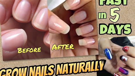 Diy Nail Growth Recipe How To Grow Nails Fast Naturally In 5 Days