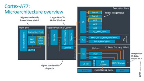 Arm Cortex A77 Everything You Need To Know Android Authority