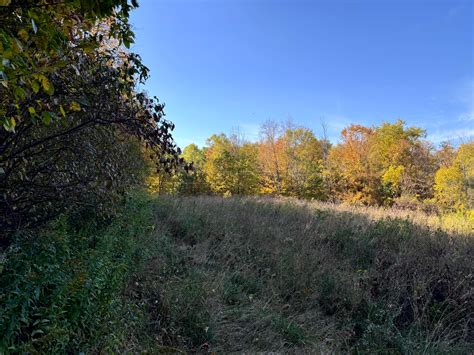 NY Salmon River area land sale