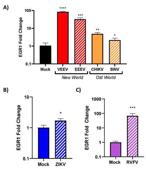 Egr1 Is Upregulated In Veev Eeev Sinv Chikv Zikv And