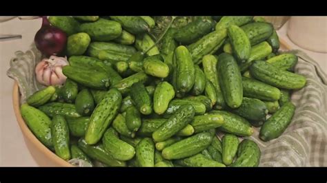 Sweet Gherkins Recipe Simpliest Pickle Recipe Youtube