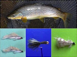 Fly Fishing With Streamers For Big Trout On Rivers