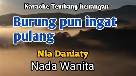 BURUNG PUN INGAT PULANG Nia Daniaty Karaoke Nada Wanita Lirik