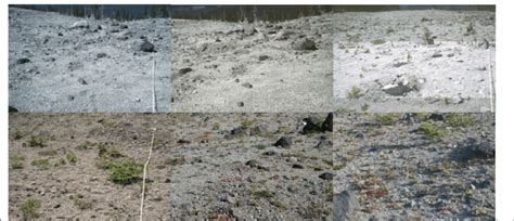 Lahars Distant From Intact Vegetation Lahar 4 Top Left To Right