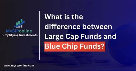 What Is The Difference Between Large Cap Funds And Blue Chip Funds