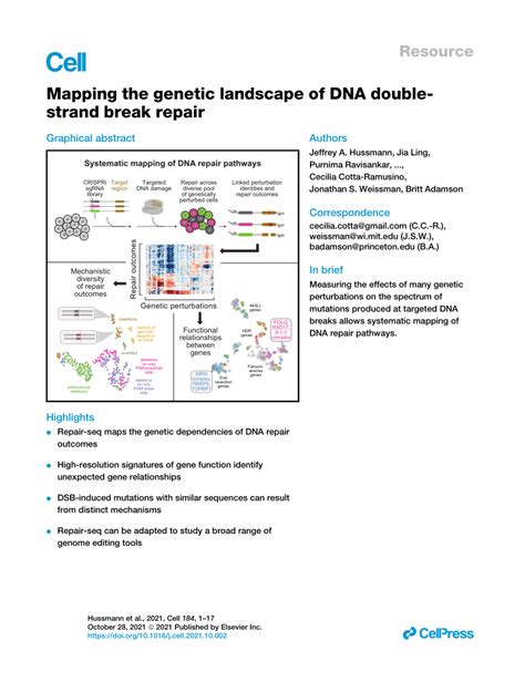 Pdf Mapping The Genetic Landscape Of Dna Double Strand Break Repair