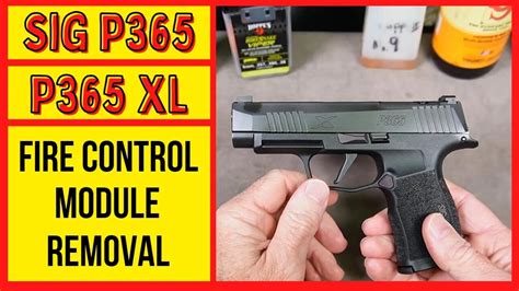 Sig Sauer P365 FCU Fire Control Unit Removal Installation How To