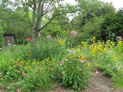 Pin by Kalamazoo Nature Center on Hummingbird-Butterfly Garden ...