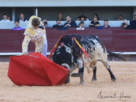 Del Toro Al Infinito Istres Francia Explosivo Colombo Ante Toros De