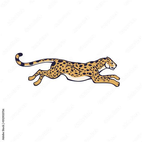 Cheetah Running Side View