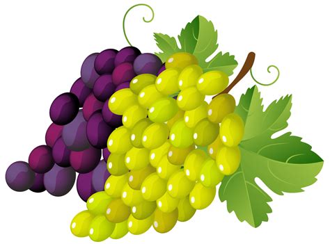 green grapes clip art
