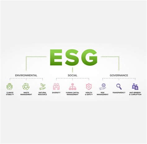 Esg Services Blue Zone Esg