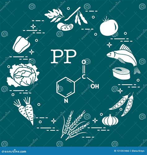 Foods rich in vitamin PP. stock vector. Illustration of nutrition ...