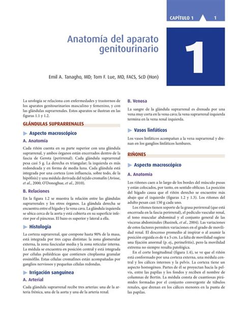 Smith Y Tanagho Urologia General 18a Ed Pdf