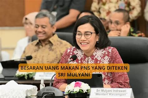 Diteken Sri Mulyani Inilah Besaran Uang Makan Bagi PNS Golongan IV