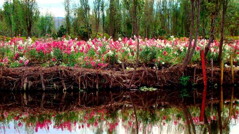 Chinampas – Ciudades Patrimonio de Mexico