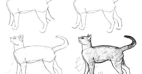 Cómo dibujar un gato a lápiz con bocetos paso a paso