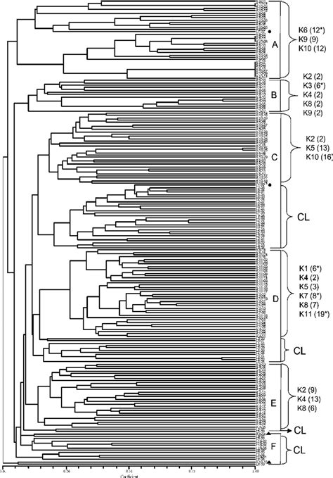 Individual Upgma Tree Upgma Algorithm Of Sneath And Sokal Was