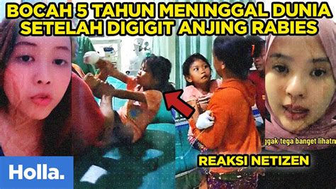 Reaksi Netizen Bocah Tahun Meninggal Dunia Setelah Digigit Anjing