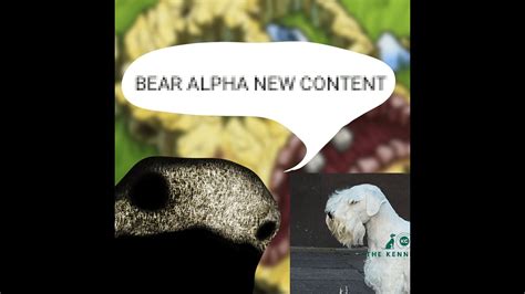 New Bear Alpha 4th Anniversary Update New Whitey Lagoon