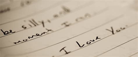 details lookbook enchanted celebrations