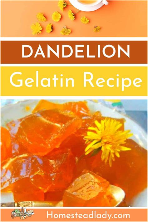 recipes for dandelion jelly 6