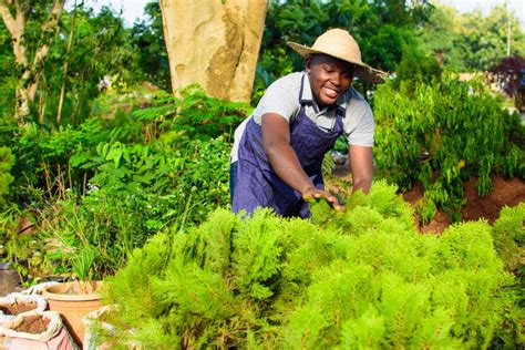 The Advantages Of Hiring Ugandan Gardeners In Qatar Explorer Dubai