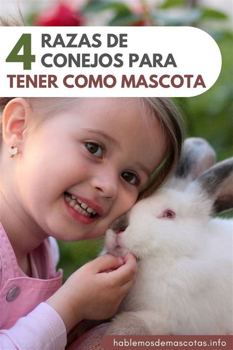 Los 4 Mejores Conejos Para Tener Como Mascota Conejitos Como Mascotas Razas De Conejos Conejos