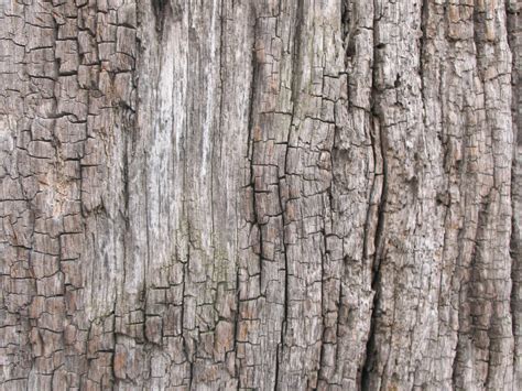 Old Wood Texture 3 By Random Acts Stock On DeviantArt