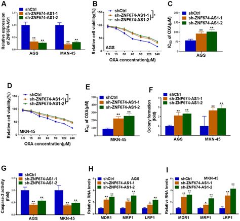 Depletion Of ZNF674 AS1 Enhanced Oxaliplatin Resistance Of Gastric