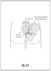 Bl Acupuncture Point Acupuncture Point Locations Review