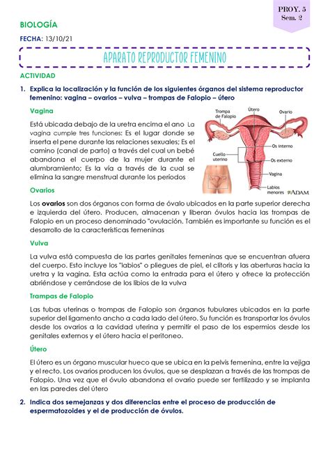 Aparato Reproductor Femenino Biolog A Estudiante Chasi Medina Susana