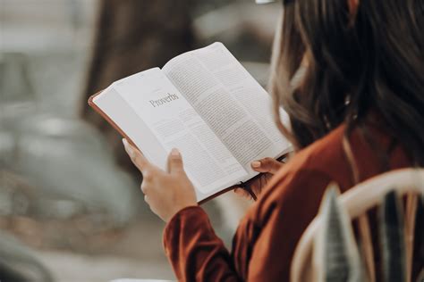 H Bito De Leitura Quais As Vantagens De Come Ar Organize Na Pr Tica