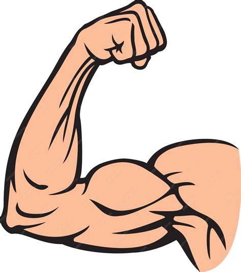 Premium Vector | Biceps muscle flexing
