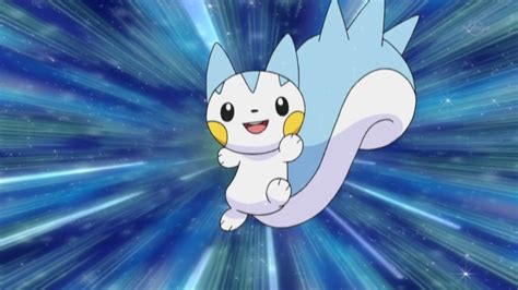 24 Fun And Fascinating Facts About Pachirisu From Pokemon Tons Of Facts