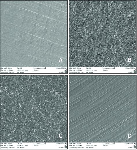 Scanning Electron Microscopic Micrographs Of The Zirconia Surface After