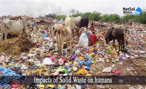 What are the Impacts of Solid Waste on humans