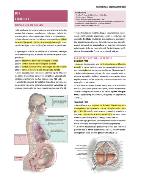 Dor 3 Marina Dor Do Parto DOR PROBLEMA 3 FISIOLOGIA DA DOR DO