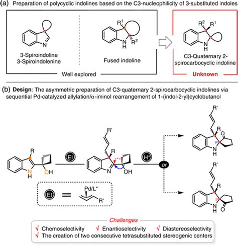 Palladium Catalyzed Asymmetric Allylic Alkylation Iminol