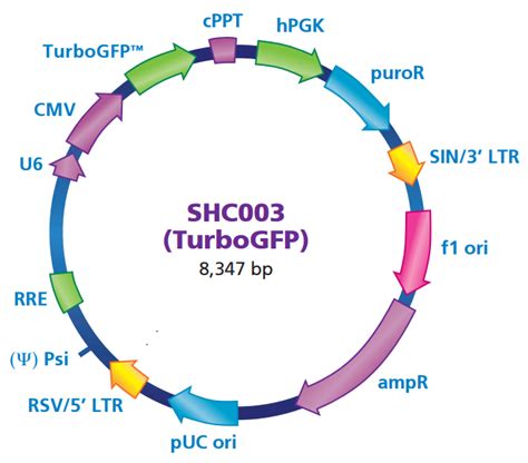 Plko1 Puro Cmv Turbogfp载体质粒图谱 优宝生物