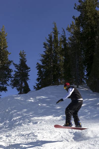 African American Snowboarder In Action Free Photo Download Freeimages