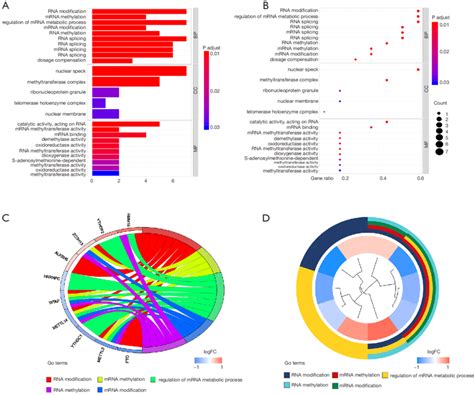 Go Functional Analysis Of M6a Rna Methylation Regulators A Bar Plot