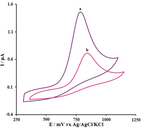 Cyclic Voltammograms Of A Zro 2 Gce And B Bare Gce In 01 M Pbs