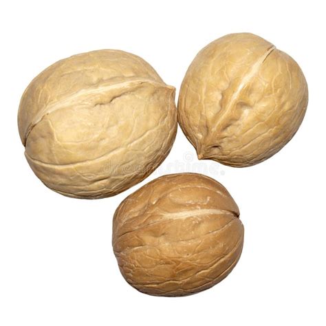 Walnuts With Shells Top View Walnut Background Close Up Whole Walnuts