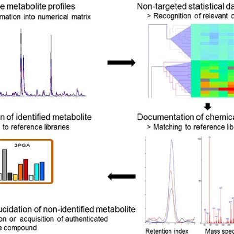 The Essential Workflow Of Non Targeted Metabolite Profiling