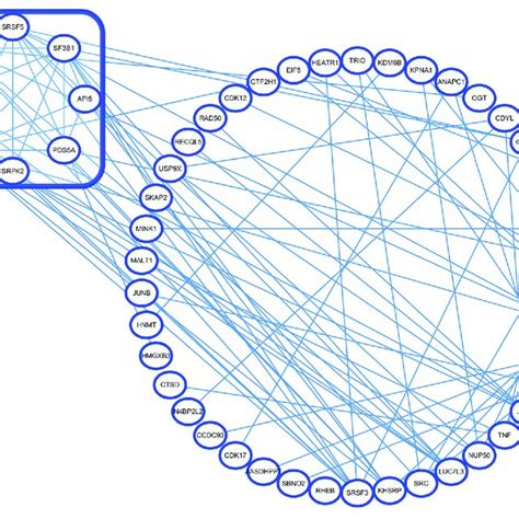 Protein Protein Interaction PPI Network And Module Of Abnormally