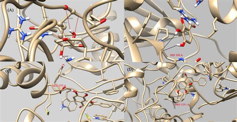 Three Dimensional 3d Representation Of The Protein Ligand Molecular