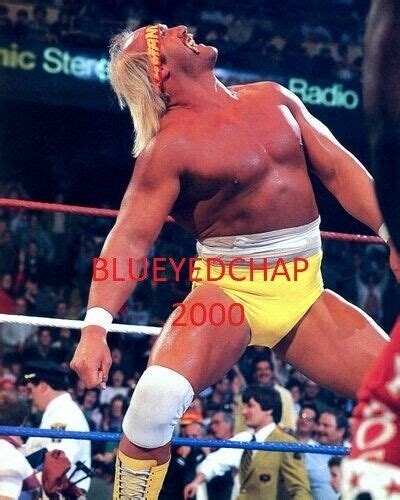 HULK HOGAN WRESTLER 8 X 10 WRESTLING PHOTO WWF WCW | #4654811771