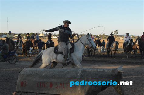 pedroosorio net Rodeio de Vaca Mecânica realizado