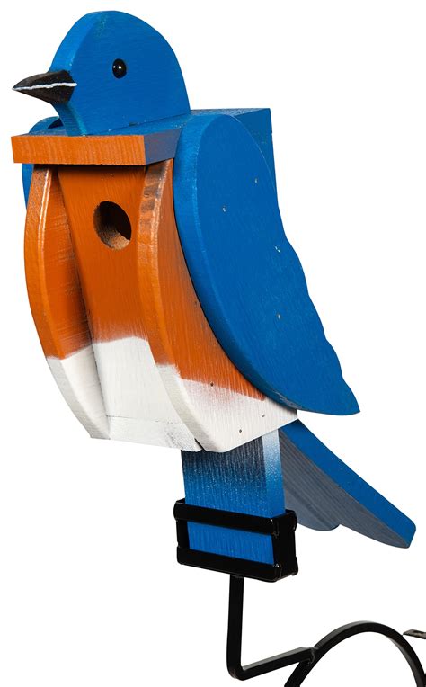 10 Best Raven Bird Houses For Your Garden Top Picks Hummingbirds Plus